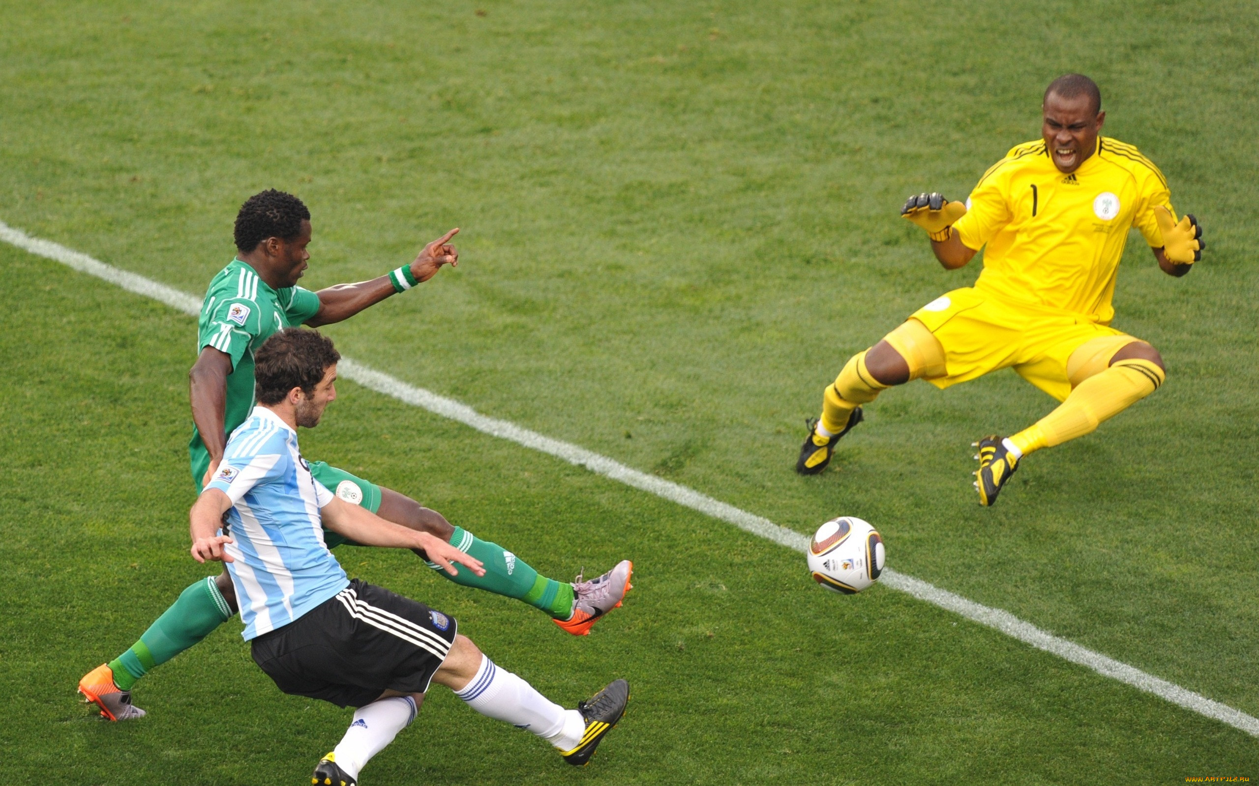 , , nigeria, argentina, higuain, football, world, cup